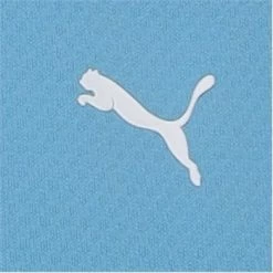 Puma Youth Girls ¼ Zip Junior Pullover - Dusty Aqua Size: S 10 Puma Youth Girls ¼ Zip Junior Pullover - Dusty Aqua Size: S -Putters Shop puma youth girls zip outerwear 3