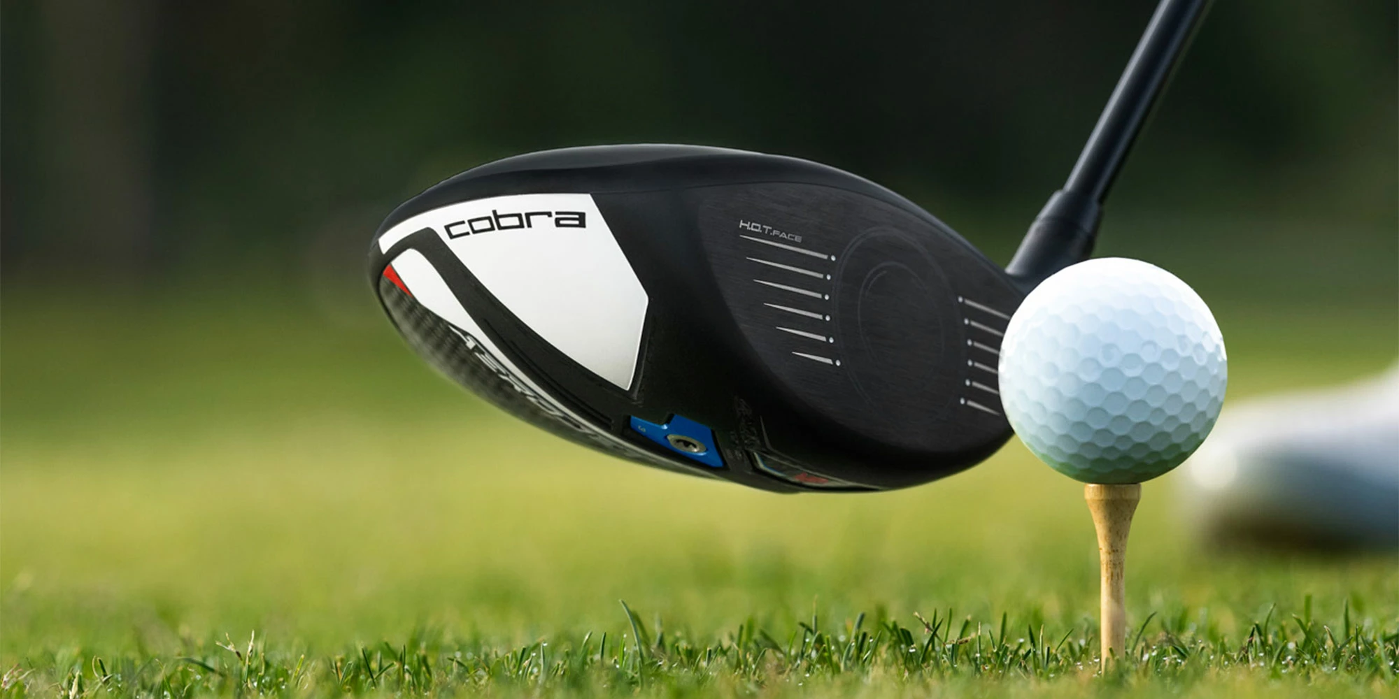 Putters Shop -Putters Shop cobra aerojet driver banner